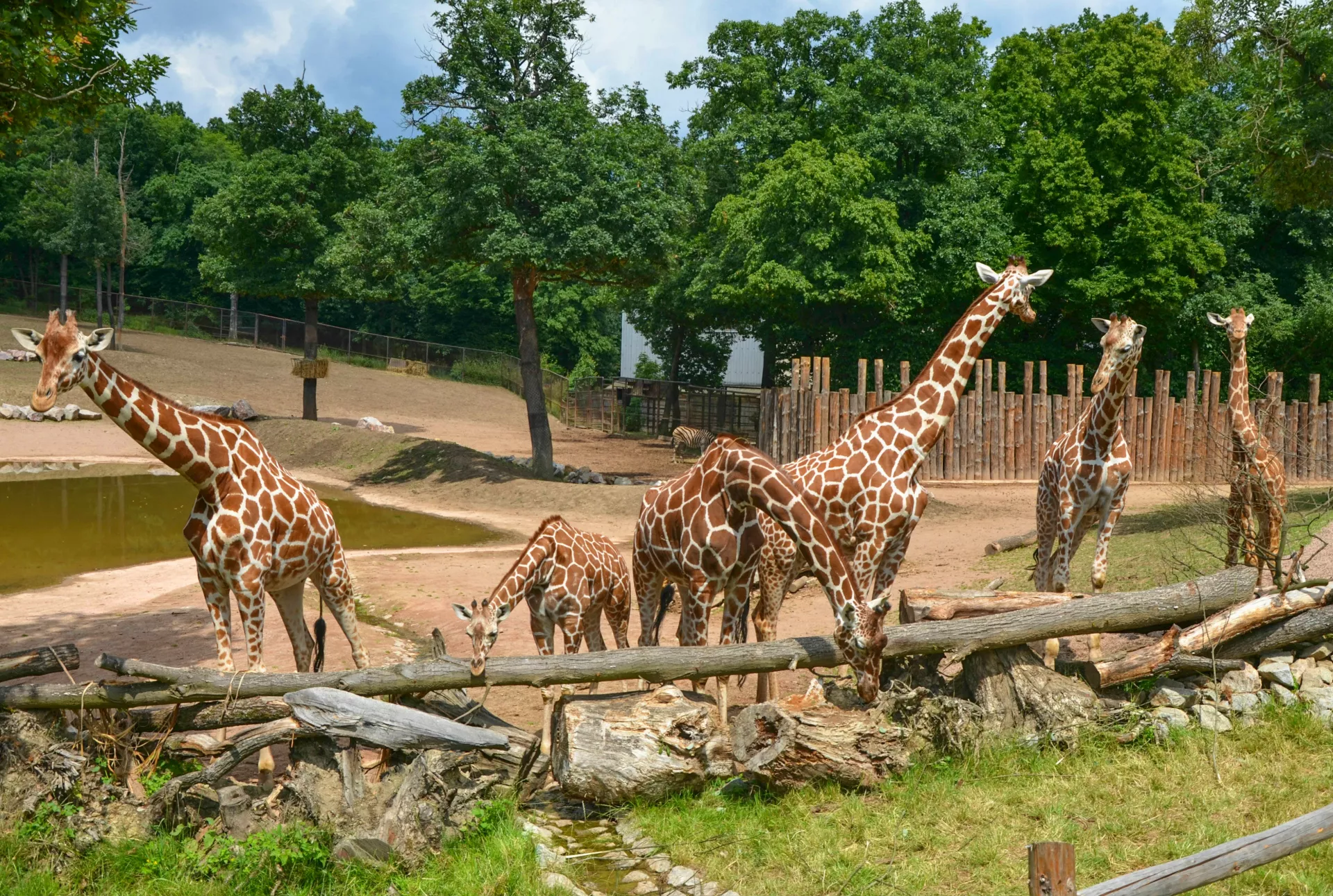 Foto: Zoo Brno